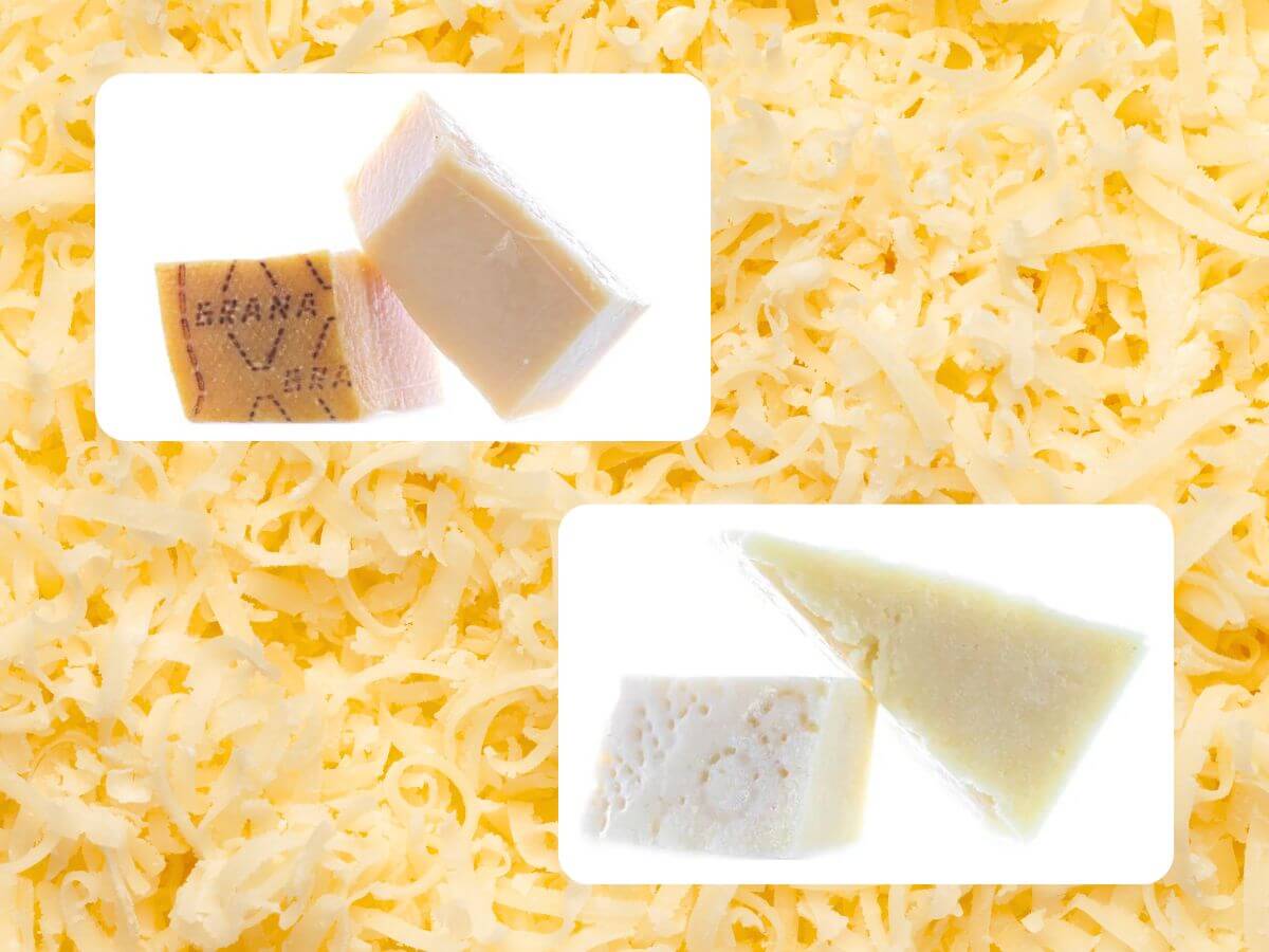 Sparset Grana Padano und Pecorino Romano